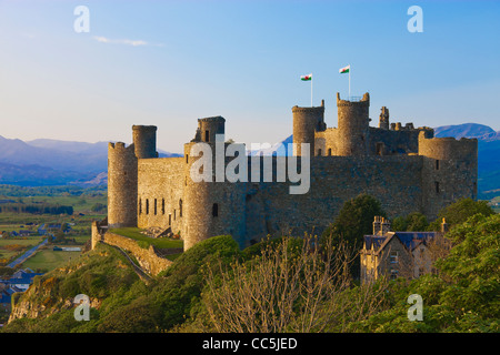 Château de Harlech Gwynedd au Pays de Galles Banque D'Images