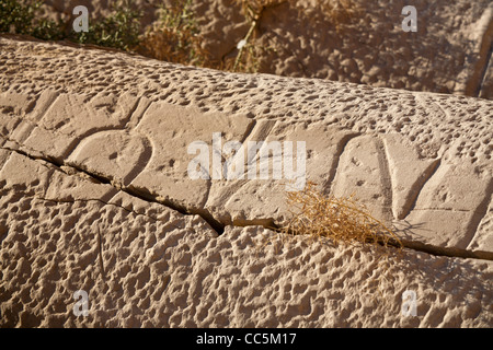 Voir des franchises à sur un pilier au temple funéraire du pharaon Ramsès III, Médinet Habou, Cisjordanie, Luxor, Egypte Banque D'Images