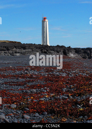 Malariff phare. Péninsule de snæfellsnes, l'ouest de l'Islande. Banque D'Images