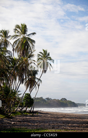 Playa Negra, une plage noire à la côte des Caraïbes à Cahuita, Costa Rica, Amérique Centrale Banque D'Images