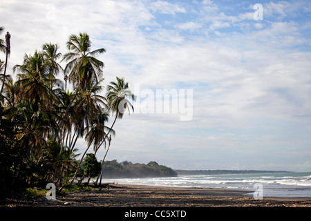 Playa Negra, une plage noire à la côte des Caraïbes à Cahuita, Costa Rica, Amérique Centrale Banque D'Images