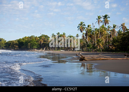 Playa Negra, une plage noire à la côte des Caraïbes à Cahuita, Costa Rica, Amérique Centrale Banque D'Images