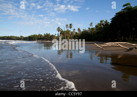 Playa Negra, une plage noire à la côte des Caraïbes à Cahuita, Costa Rica, Amérique Centrale Banque D'Images