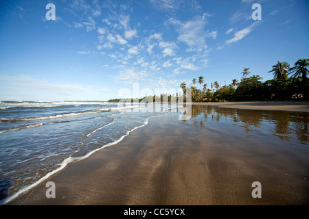 Playa Negra, une plage noire à la côte des Caraïbes à Cahuita, Costa Rica, Amérique Centrale Banque D'Images