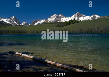 Peu de sébaste et le Lac de montagnes Sawtooth situé à Custer County, California, USA. Banque D'Images