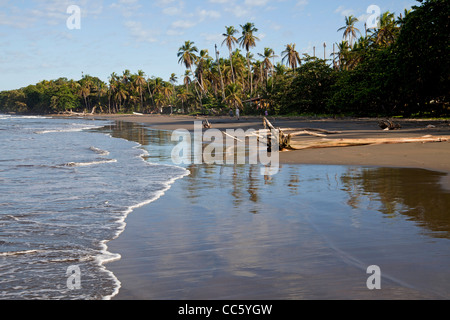 Playa Negra, une plage noire à la côte des Caraïbes à Cahuita, Costa Rica, Amérique Centrale Banque D'Images