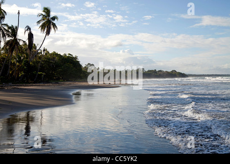 Playa Negra, une plage noire à la côte des Caraïbes à Cahuita, Costa Rica, Amérique Centrale Banque D'Images