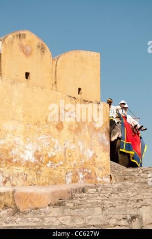 Les touristes sur l'éléphant, le Fort Amber Palace, Jaipur, Rajasthan, Inde Banque D'Images