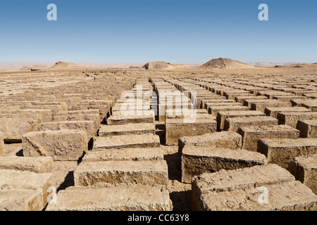 Des briques de boue nouvellement formé étant faite à l'ancien site de Dush, au sud de l'Oasis de Kharga, Désert occidental de l'Égypte Banque D'Images