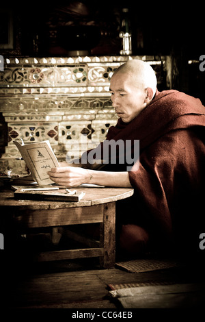 Portrait d'un moine bouddhiste à la lecture Thein Taung pagode à Kalaw, l'État de Shan, Birmanie, Myanmar, l'Asie du Sud Est. Banque D'Images