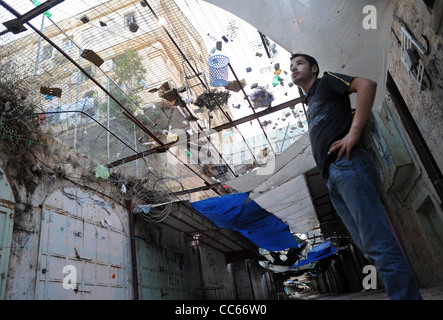 Hébron : une clôture a été mise en place au-dessus de l'une des rues principales d'arrêter de jeter des colons juifs sur la corbeille des Palestiniens. Banque D'Images