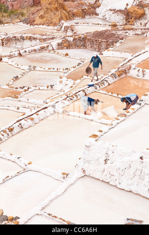 La récolte de sel à travailleurs Inca Salinas de Maras les étangs d'eau salée avec terrasse panoramique, terrasses des mines Mines Vallée Sacrée, le Pérou. Banque D'Images