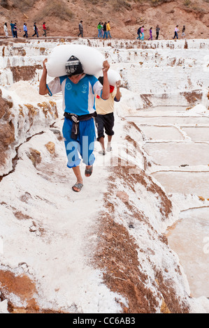 Les hommes travailleurs Inca homme sac sacs de transport à Salinas de Maras les étangs d'eau salée avec terrasse panoramique, terrasses des mines Mines Vallée Sacrée, le Pérou. Banque D'Images