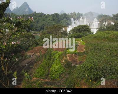 Cascade Detian, Chongzuo, Guangxi, Chine Banque D'Images