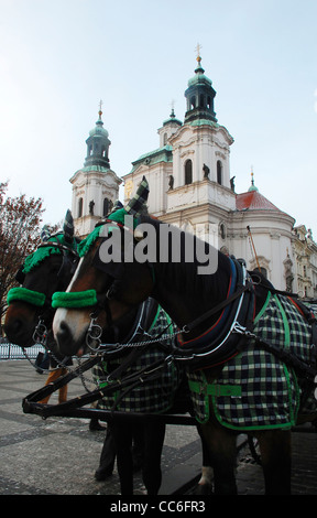 Chevaux porte un harnais et en tirant un chariot en face de l'église Saint Nicolas, Place de la Vieille Ville, Prague, République Tchèque Banque D'Images