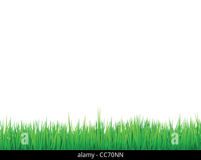 Les frontières de l'herbe, de fond vecteur peut être organisé pour l'effet transparent Banque D'Images