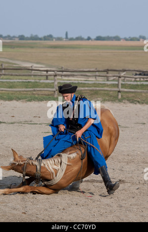 La Hongrie, kalocsa. hongroise ranch & show cowboy. horse show tour. Banque D'Images