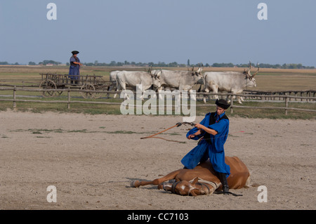 La Hongrie, kalocsa. hongroise horse show tour avec des origines qui remontent à la guerre hongroise de temps pour éviter d'être vu. Banque D'Images