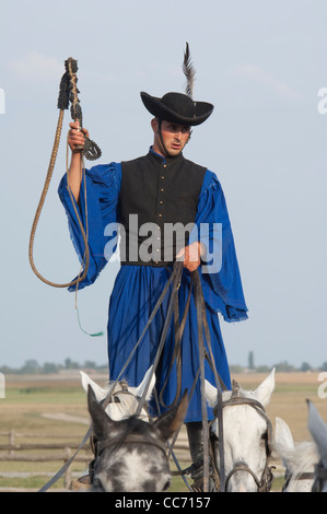 La Hongrie, kalocsa. cowboy traditionnelle hongroise show à bakodpuszta centre équestre. cowboy debout sur dos de 7 chevaux gris. Banque D'Images