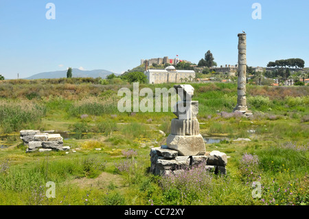 Vestiges de Temple d'Artemis d'Ephèse Kusadasi Turquie mer Egéé Mer Méditerranée Banque D'Images