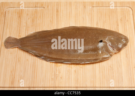 Un poisson plat sole vidé, on a chopping board Banque D'Images