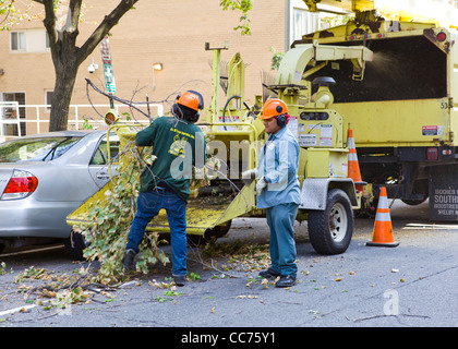 Les travailleurs d'arbres chargement d'une grande branche dans shredder - USA Banque D'Images
