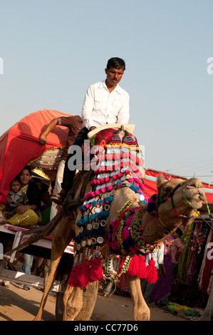 Camel calèche avec personnes en elle, Camel Fair, Pushkar, Rajasthan, India Banque D'Images