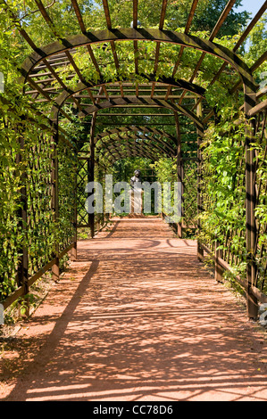 Pergola dans le jardin du palais, châteaux, Dornburg Dornburg, Thuringe, Allemagne, Europe Banque D'Images