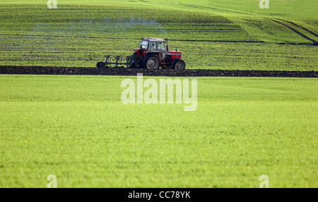 Le tracteur sur un champ, labourer le sol, préparer de nouvelles graines. Banque D'Images