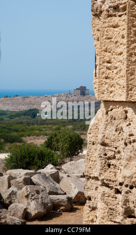 Selinunte - Selinus vue depuis E Temple dédié à Hera. Dans l'arrière-plan le C et un des temples dans l'Acropole Banque D'Images