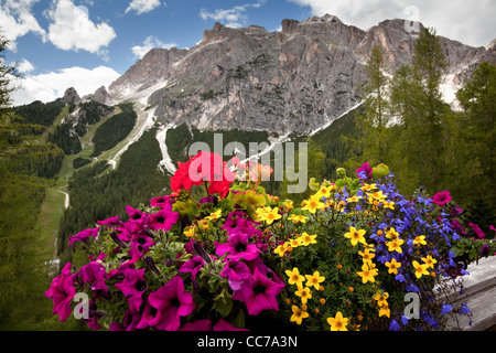 Vue depuis le Col Druscie, Tofana, Cortina d'Ampezzo, Veneto, Italie du Nord Banque D'Images