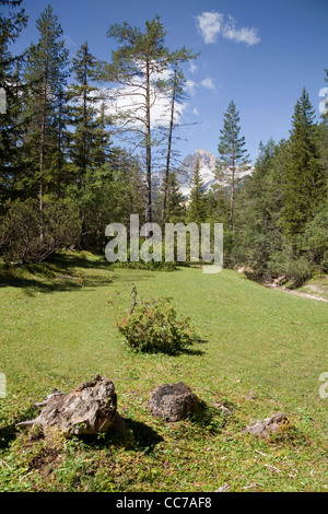 Vue sur la campagne de Croda Rossa et pâturages alpins en Dolomites italiennes Banque D'Images