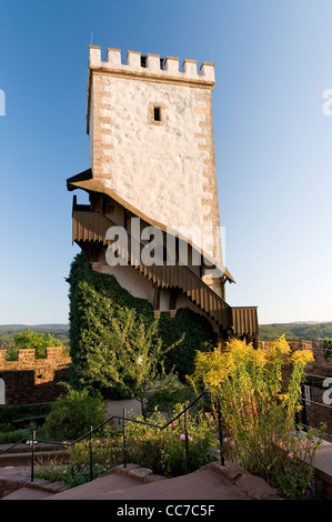 Château de Wartburg, Eisenach, en Thuringe, Allemagne, Europe Banque D'Images