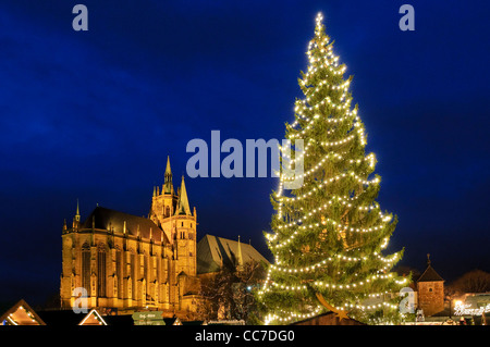 Marché de Noël avec la cathédrale, Erfurt, Thuringe, Allemagne, Europe Banque D'Images