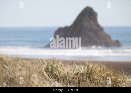 Karekare kare kare beach Waitakere Ranges national park Auckland New Zealand North Island Banque D'Images