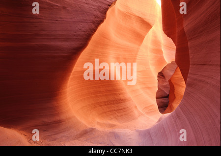 Passage lumineux dans lower Antelope Slot Canyon, Page, Arizona, USA Banque D'Images