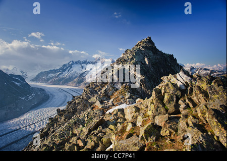 Glacier d'Aletsch avec Bettmerhorn. Une partie de l'UNESCO du patrimoine mondial de Jungfrau-Aletsch, Valais, Suisse. Banque D'Images