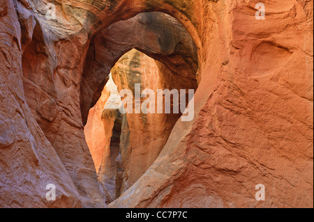 L'intérieur de passage de Peek-A-Boo slot canyon, trou dans un Rock Road, Grand Escalier Monument National, Utah, USA Banque D'Images