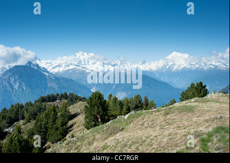 Mischabel, le Cervin et le Weisshorn des pics de montagne, vue d'Reiderhorn, Valais, Suisse Banque D'Images