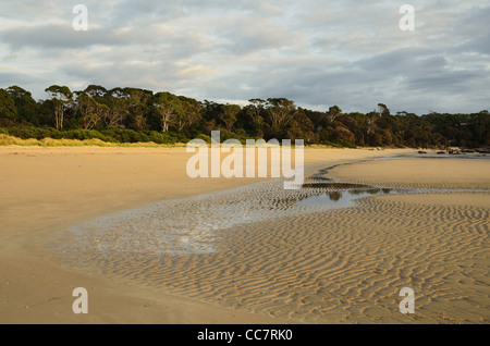 La côte de la Baie d'Anderson, Bridport, Tasmanie, Australie Banque D'Images