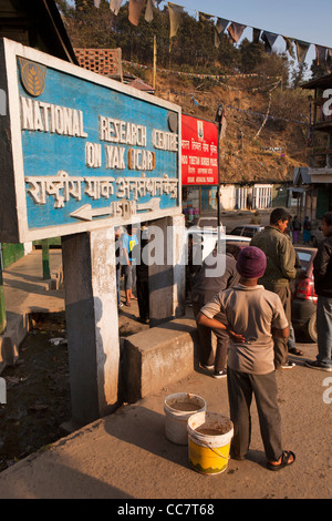 L'Inde, de l'Arunachal Pradesh, Dirang bazar, tôt le matin, l'attente aux chauffeurs de taxi à l'extérieur de la station de police Banque D'Images