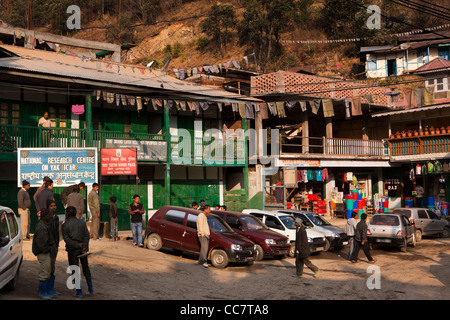 L'Inde, de l'Arunachal Pradesh, Dirang bazar, tôt le matin, l'attente aux chauffeurs de taxi à l'extérieur de la station de police Banque D'Images