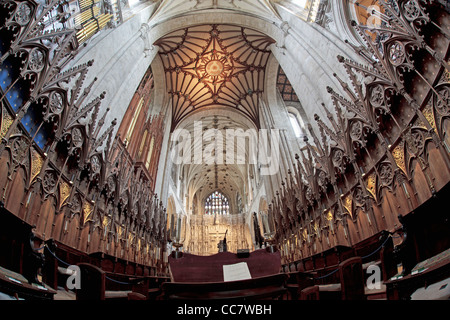 Stalles du choeur de la cathédrale de Winchester en widewangle avec format structure plafond partiel Banque D'Images