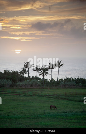 La baie de Hanalei, Kauai, Hawaii, USA Banque D'Images