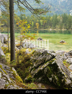 Lac Hintersee, parc national de Berchtesgaden, en Bavière, Allemagne Banque D'Images