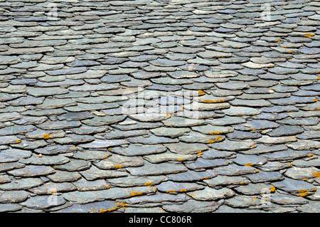 Cobblestone, Nonza, Haute-Corse, Corse, France Banque D'Images