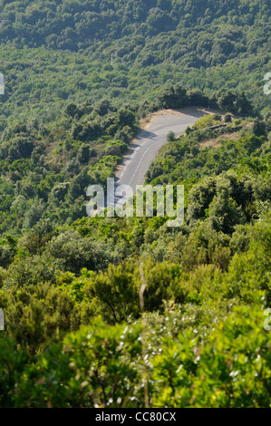 Vue aérienne de route, Corse, France Banque D'Images