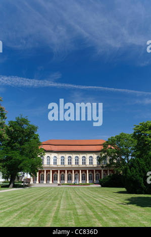 Salon de jardin du château, jardin du château, l'orangerie, Merseburg, Saxe-Anhalt, Allemagne, Europe Banque D'Images