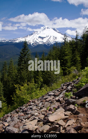 Mt Hood vu de sentier de randonnée pédestre à travers la forêt nationale de MT Hood Banque D'Images