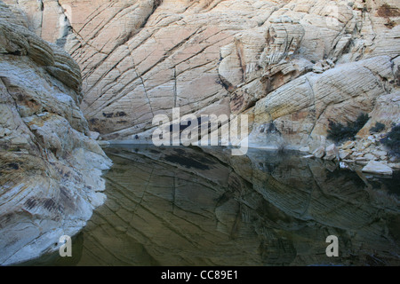L'eau du réservoir de calicot trou dans la zone de conservation de Red Rocks, Nevada Banque D'Images
